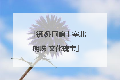 镜观·回响丨塞北明珠 文化瑰宝